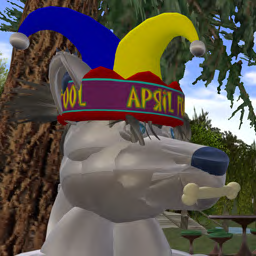 DogWomble